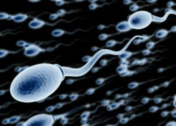 Sperma Tertua Ditemukan