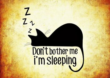 Ilustrasi:Pixabay.com