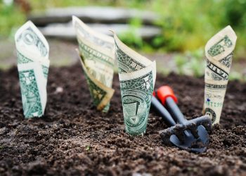 Ilustrasi: Pixabay.com