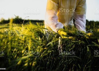 Ilustrasi:istockphoto.com