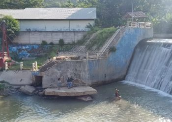 Kelurahan Sumurputri Gelar Pelatihan Profesi 