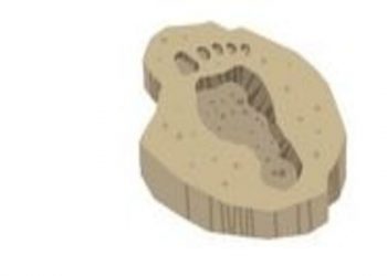 Kaki Manusia Zaman Es