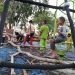 POHON TUMBANG DI ELPHANT PARK. Anak-anak sedang membersihkan puing-puing pohon tumbang di area bermain Elephant Part, Enggal Bandar Lampung, Jumat (2/10). n LAMPUNG POST/SUKISNO