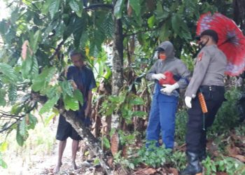 Pencari Semut Temukan Kakek Tergantung