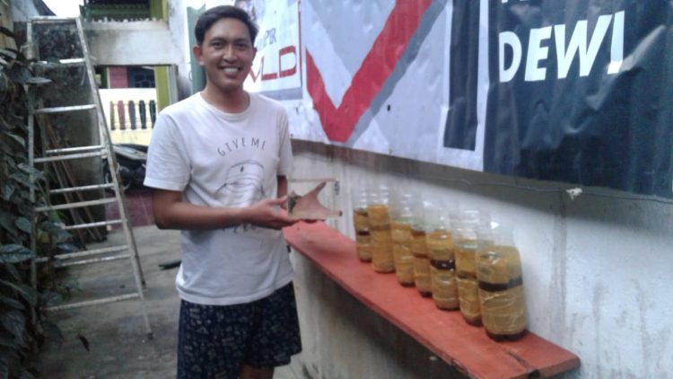 TUNJUKKAN IKAN. Dimas, penangkar ikan cupang, menunjukkan ikan hasil tangkarannya yang ditawarkan ke kolektor, Kamis (29/10). LAMPUNG POST/YUDHI HARDIYANTO