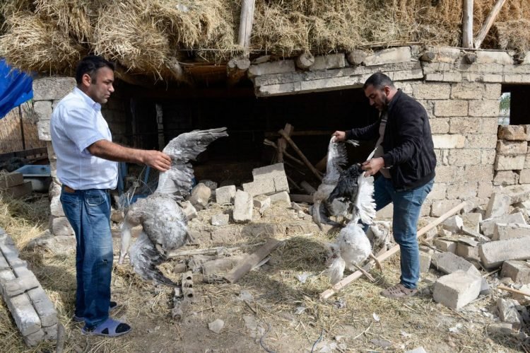 Roket Menghantam Sejumlah Kota dalam Konflik Armenia-Azerbaijan