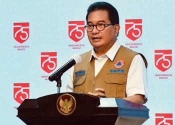 Juru Bicara Satgas Penanganan Covid-19 Prof. Wiku Adisasmito. Dok BNPB