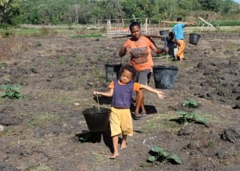 Masuki Puncak Kemarau, NTT Waspada Titik Panas
