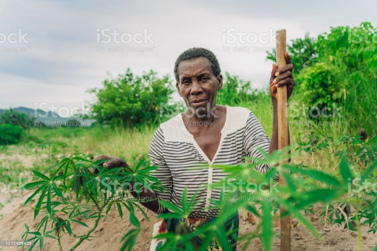 Ilustrasi:Istockphoto.com