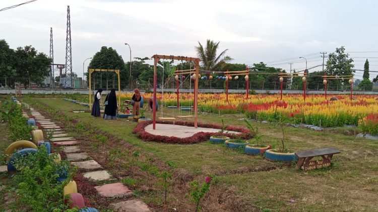 Taman Bunga Asri yang berada di Kelurahan Tejosari, Kecamatan Metro Timur.