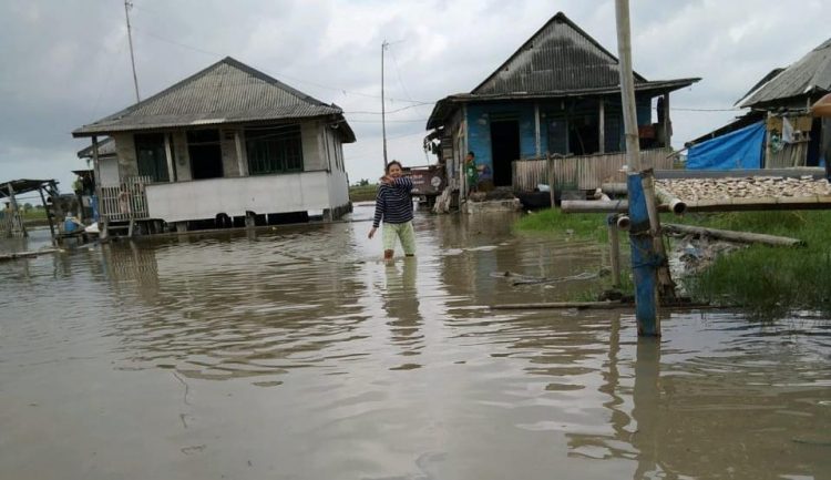 PASANG AIR LAUT. Kondisi rob di Dusun Kualajaya, Desa Bandaragung, Kecamatan Sragi, Lampung Selatan. DOK
