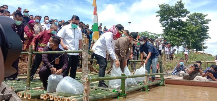 TABUR BIBIT. Gubernur Lampung Arinal Djunaidi bersama Bupati Tulangbawang Winarti saat menabur bibit ikan di Way Tulangbawang, Rabu (25/11). LAMPUNG POST/FERDI IRWANDA