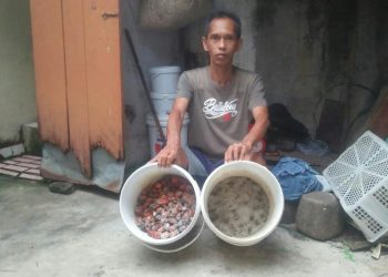 UMPAN IKAN. Samsir, menunjukkan umpan ikan untuk kucur dan fermentasi kelapa sawit yang dia produksi, Minggu (22/11). LAMPUNG POST/YUDHI HARDIYANTO