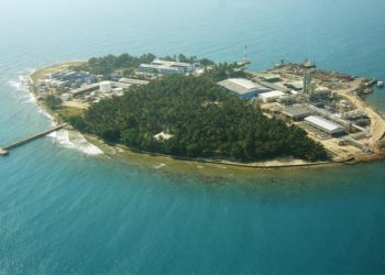 Babel Kembangkan Gaharu Tingkatkan Ekonomi