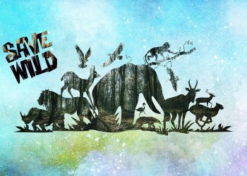 Ilustrasi:Pixabay.com