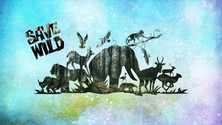 Ilustrasi:Pixabay.com