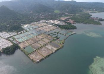 Lampung kaya tambak di wilayah pesisir. Namun sementara ekspor bendur dihentikan. (DOK.LAMPUNG POST)