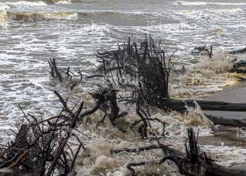 Ilustrasi:Istockphoto.com