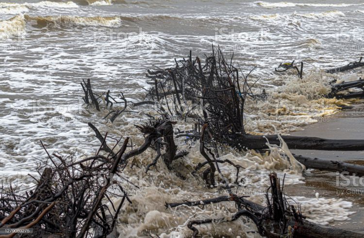 Ilustrasi:Istockphoto.com