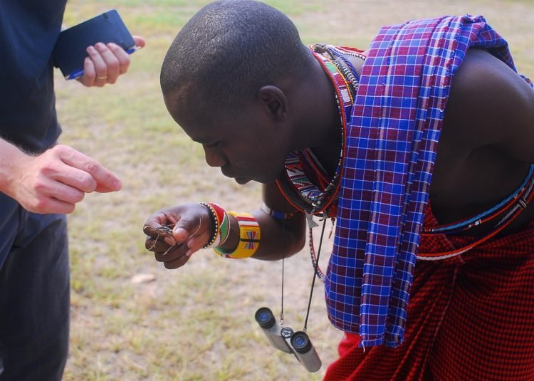 Ilustrasi:Pixabay.com