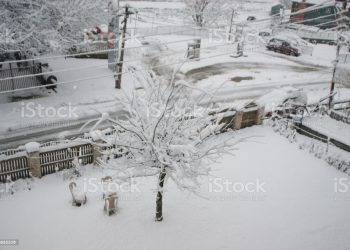 Ilustrasi: istockphoto.com