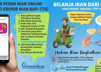 Belanja kebutuhan lewat online. (DOK, ANTARA)