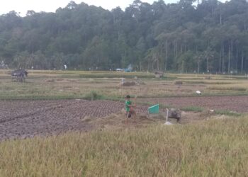 Bengkulu Masuk Program Reformasi Agraria