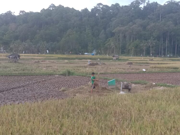 Bengkulu Masuk Program Reformasi Agraria