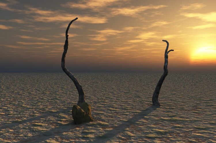 Ilustrasi:Pixabay.com