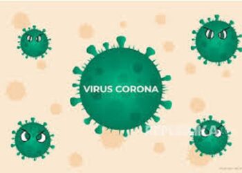 kecamatan balikbukit