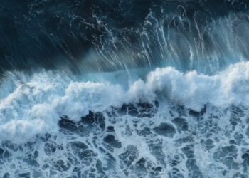 Ilustrasi:Pixabay.com