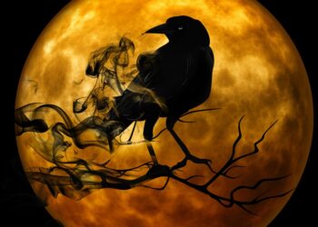 Ilustrasi:Pixabay.com