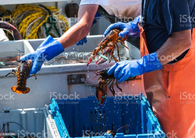 Ilustrasi:Istockphoto.com