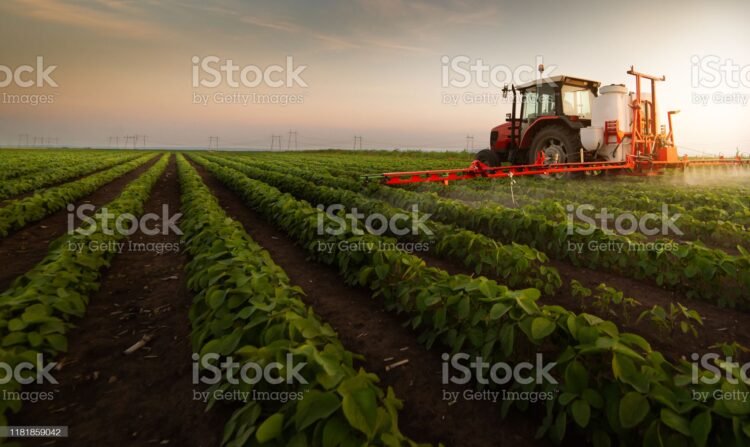 Ilustrasi:Istockphoto.com
