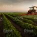 Ilustrasi:Istockphoto.com