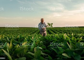 Ilustrasi:Istockphoto.com