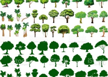 Ilustrasi:Istockphoto.com