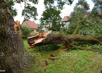 Ilustrasi:Istockphoto.com