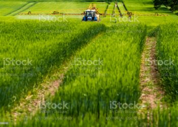 Ilustrasi:Istockphoto.com