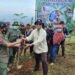 bibit pohon