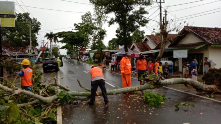POHON TUMBANG. Petugas Badan Penanggulanan Bencana Daerah (BPBD) Kota Metro sedang memindahkan pohon yang tumbang akibat hujan deras disertai angin kencang di Jalan AR Prawira Negara Metro Pusat dan Tejosari 24 Metro Timur, Rabu (10/2).
LAMPUNG POST / BAMBANG PAMUNGKAS