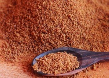 Gula semut dari gula aren. (DOK)