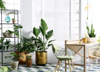 Pilihan tanaman hias di dalam ruangan. (DOK)