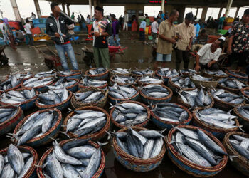 (dok. Media Indonesia)