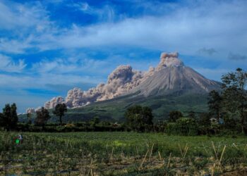 ERUPSI GUNUNG SINABUNG. Petani memanen cabai dengan latar belakang Gunung Sinabung yang menyemburkan material vulkanik saat erupsi di Desa Kuta Rakyat, Naman Teran, Karo, Sumatera Utara, Kamis (11/3). Gunung Sinabung erupsi dengan tinggi kolom 3.000 meter di atas puncak.
ANTARA FOTO/SASTRAWAN GINTING