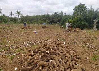 Motor Curian Ditemukan di Kebun Singkong