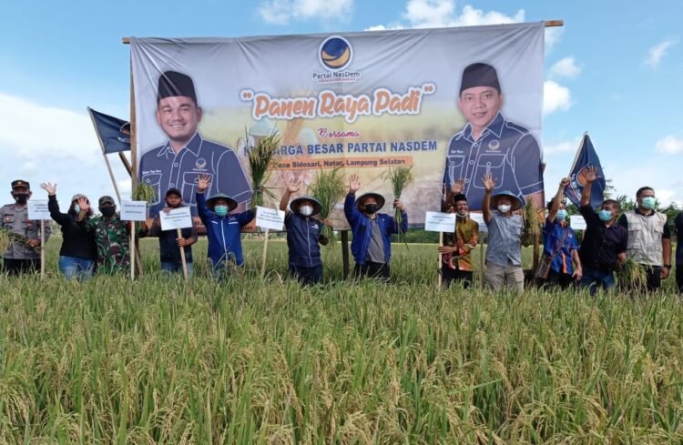 lumbung pangan nasional