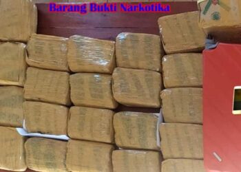 Aparat Sita 9 Kg Ganja dari Jaringan Aceh
