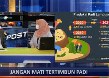 Jangan Mati Tertimbun Padi