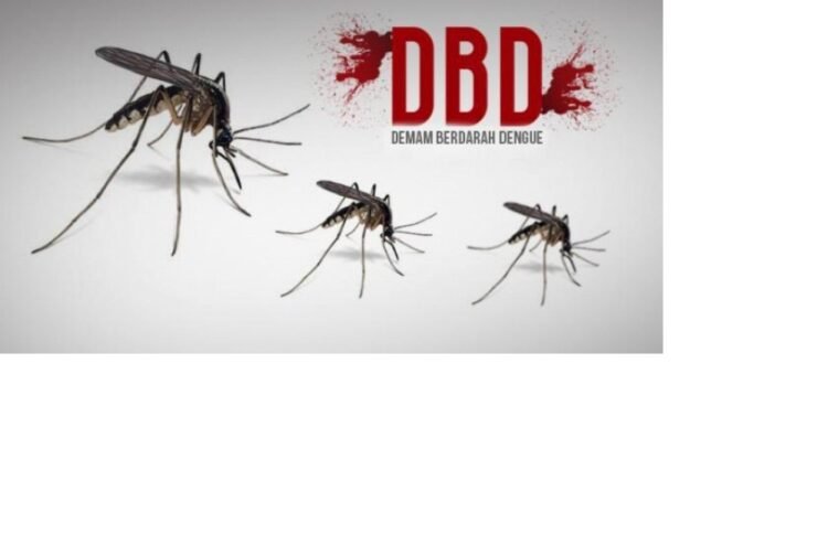 Lima Warga Mukomuko Positif DBD